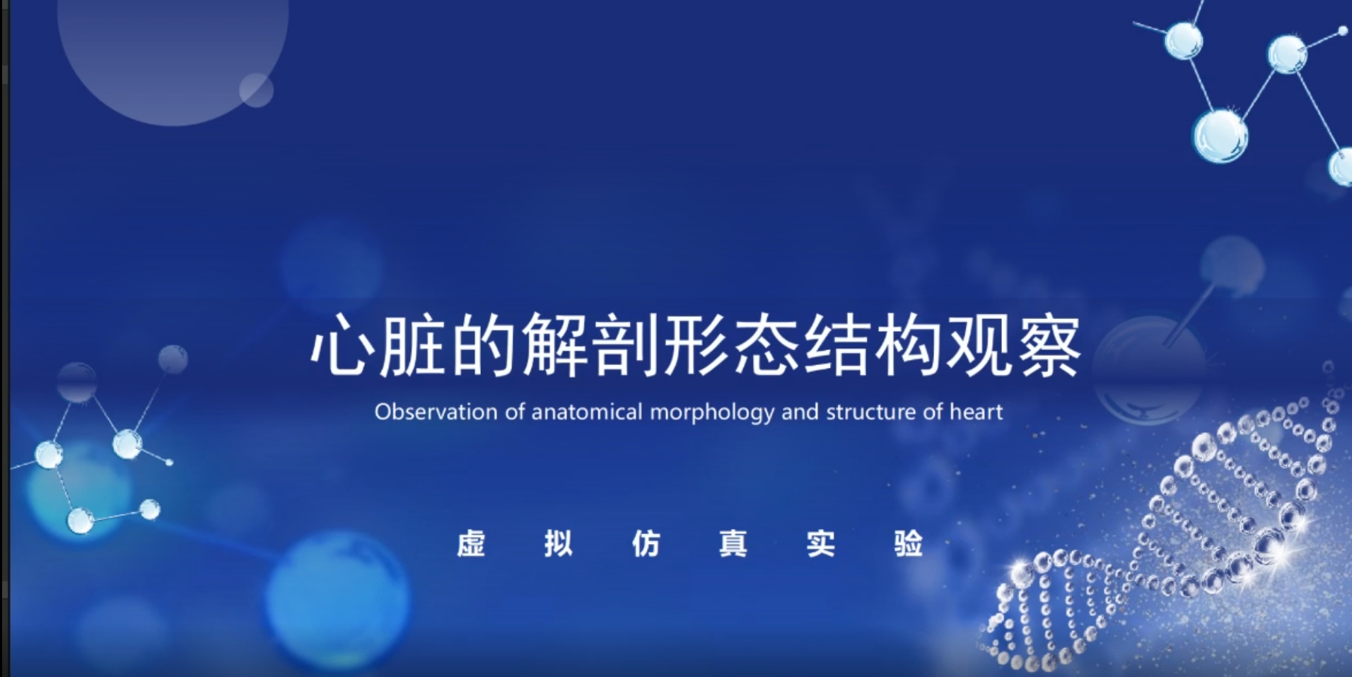 【Unity源码】心脏解刨形态结构观察-虚拟仿真实验 - 盘古CG网-盘古CG网