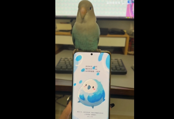 【Unity录音采样】给我家鹦鹉做了个魔法对轰APP - 盘古CG网-盘古CG网