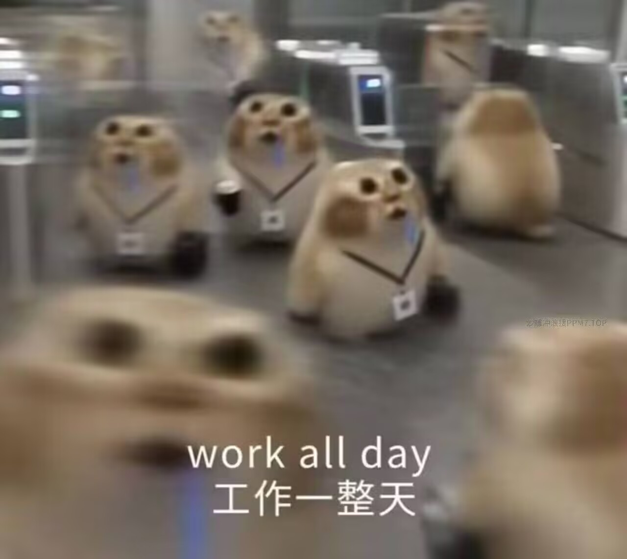 工作一整天-盘古CG网
