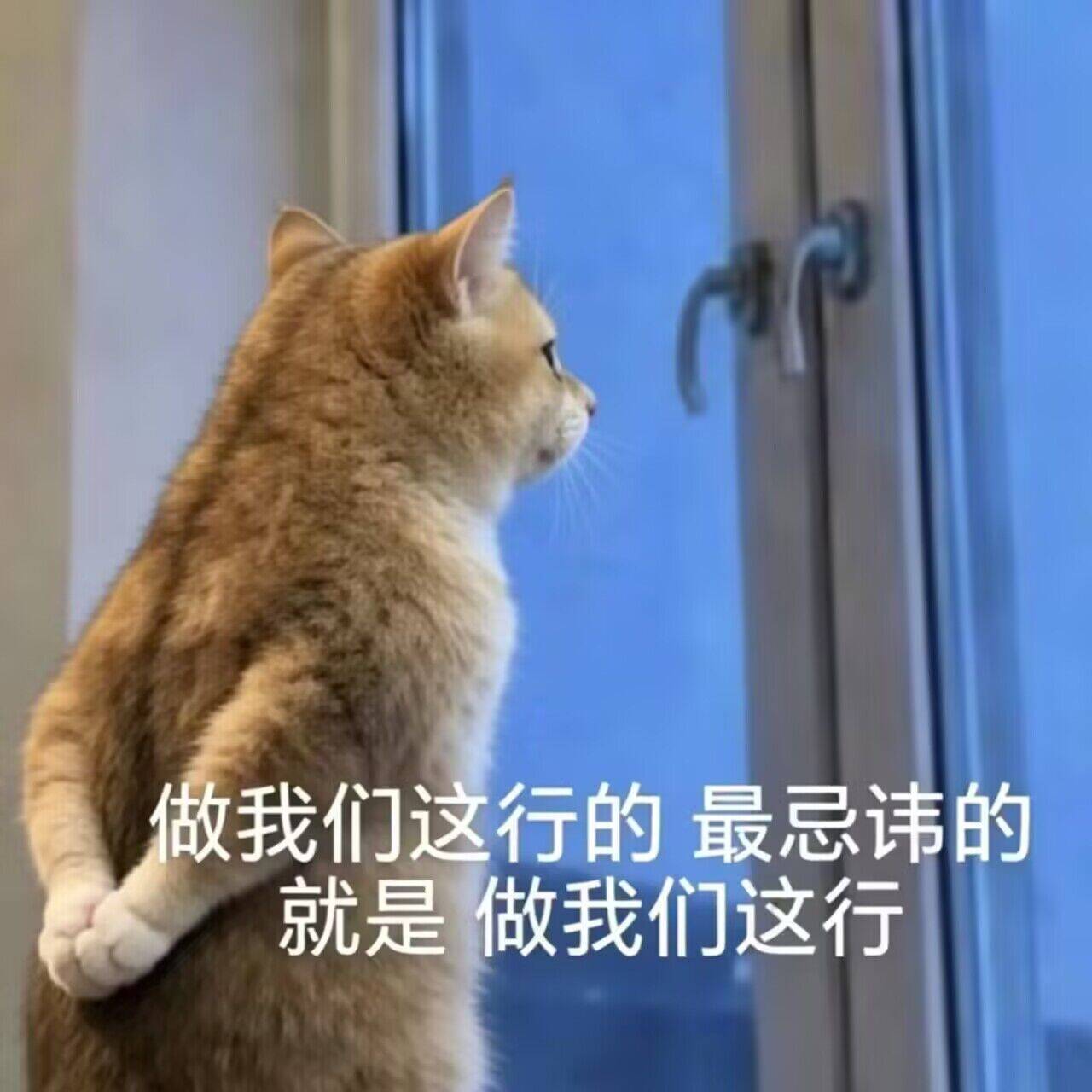 做我们这一行-盘古CG网